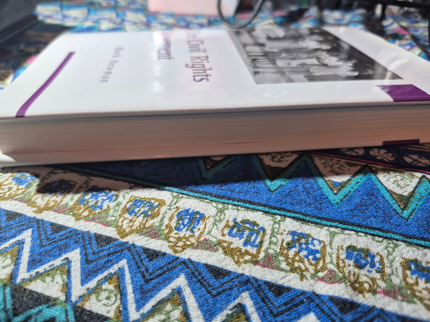 The Civil Rights Movement by Mark Newman (Author)