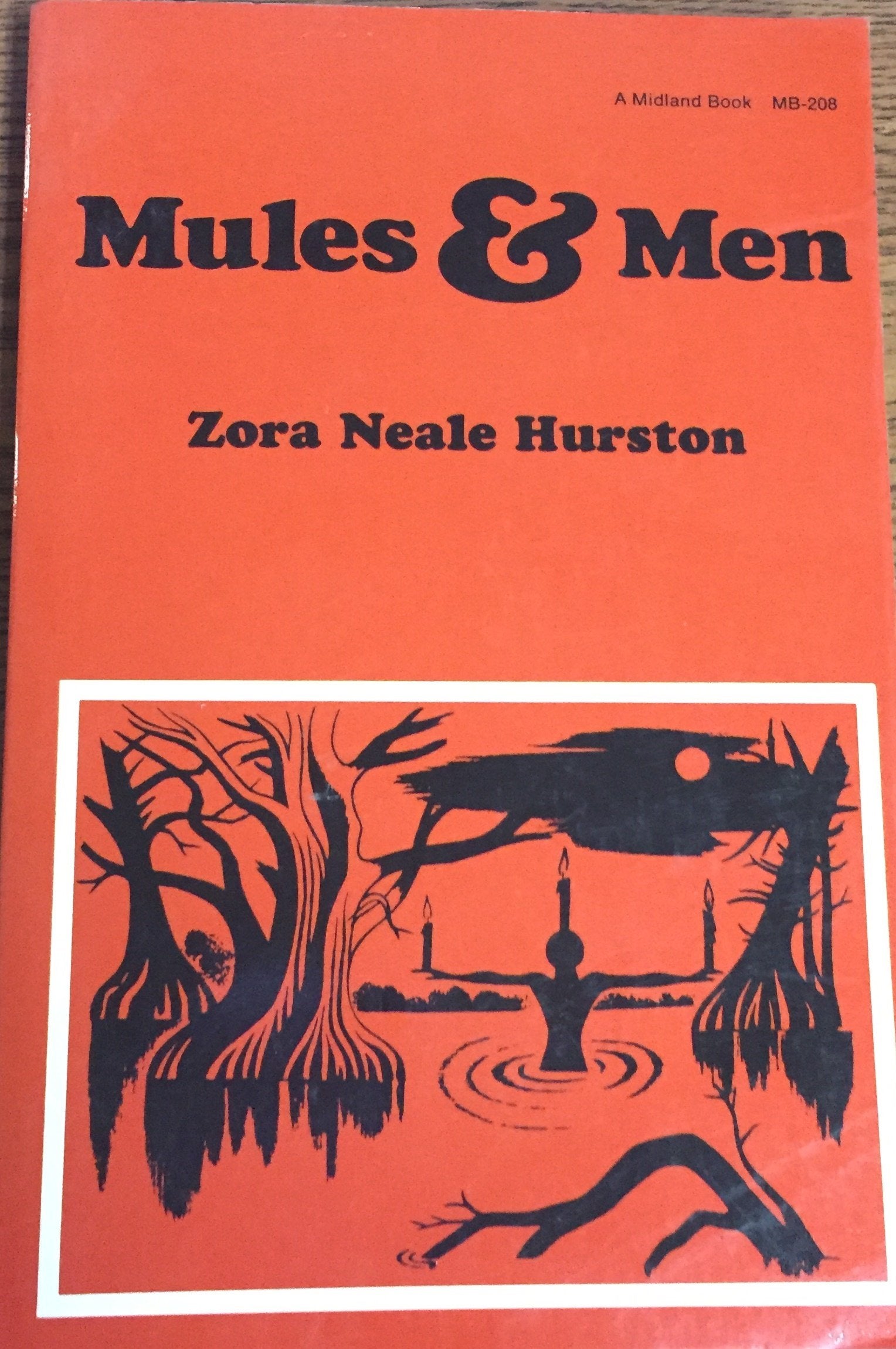 Cover of Mules and Men